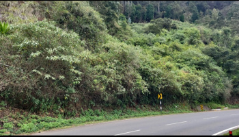  Commercial Land for Sale in Kotagiri, Nilgiris