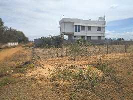  Residential Plot for Sale in Palayamkottai, Tirunelveli