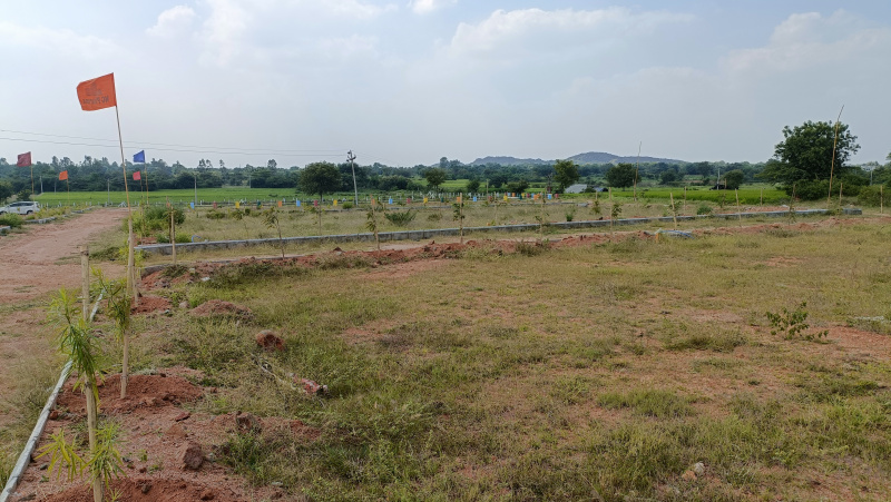  Residential Plot 165 Sq. Yards for Sale in Yacharam Mandal, Hyderabad