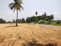 Residential Plot for Sale in Ayothiapattinam, Salem
