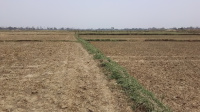 Residential Plot for Sale in Bihta, Patna