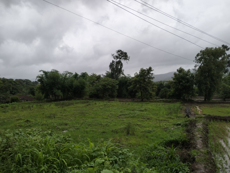  Residential Plot 7600 Sq.ft. for Sale in Velhe, Pune