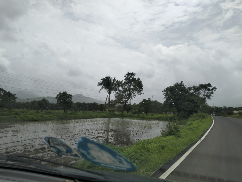  Agricultural Land 12 Acre for Sale in Maval, Pune