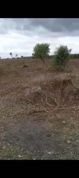  Agricultural Land 7 Acre for Rent in Nagar Road, Pune