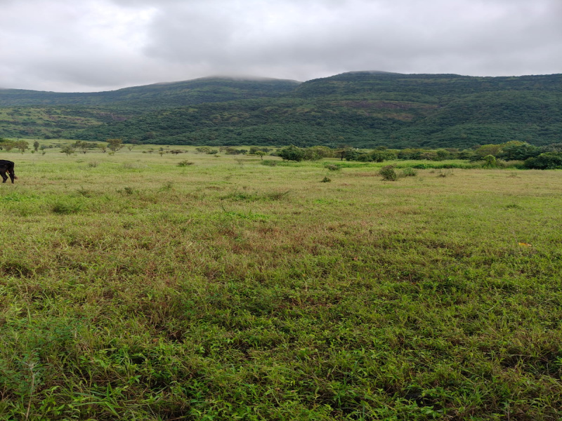  120 Ares Agricultural/Farm Land for Sale in Maval, Pune