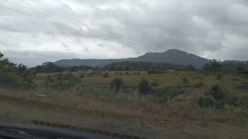  400 Acre Agricultural/Farm Land for Sale in Pen, Raigad