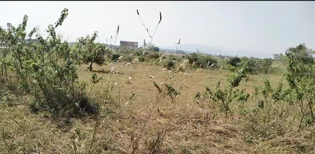  11 Acre Industrial Land for Sale in Shahapur, Thane
