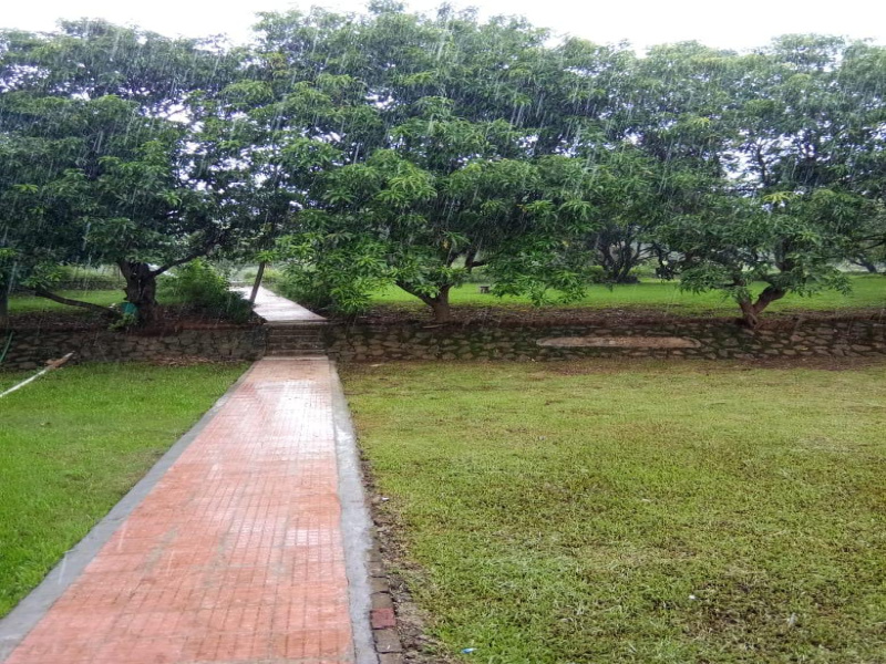  256 Guntha Residential Plot for Sale in Khopoli, Raigad