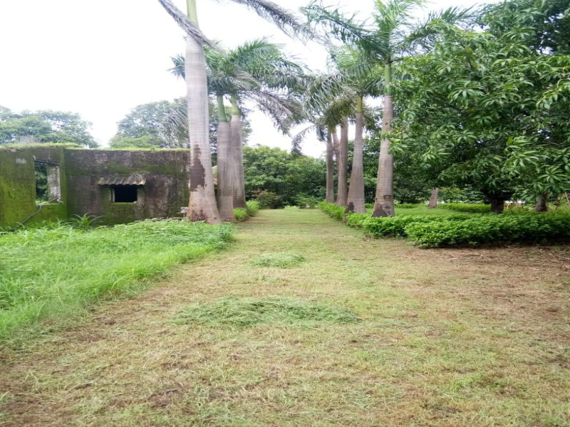  256 Guntha Residential Plot for Sale in Khopoli, Raigad