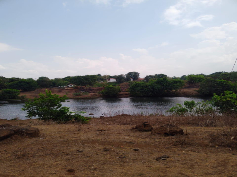  90 Acre Agricultural/Farm Land for Sale in Mulshi, Pune