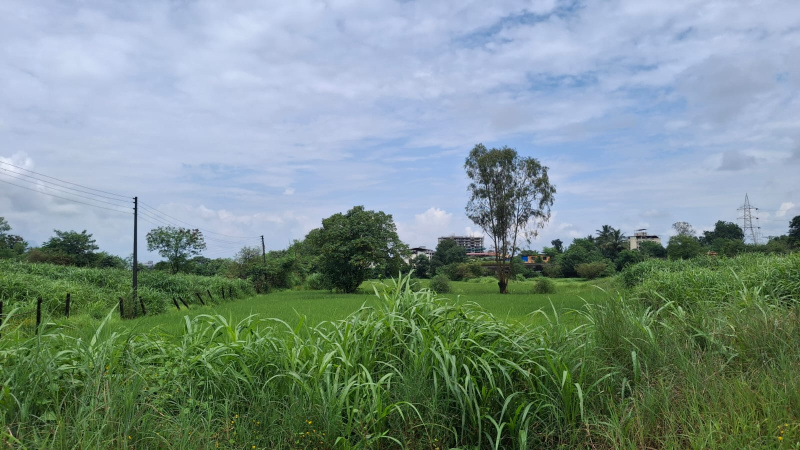  25 Acre Residential Plot for Sale in Karjat, Raigad