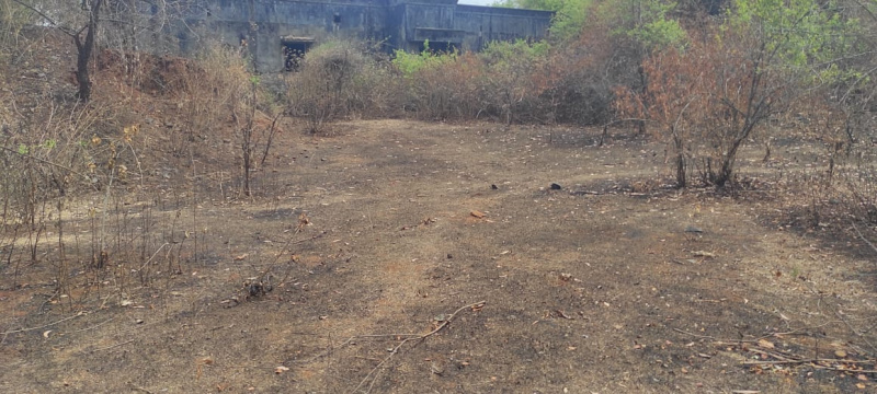  22 Acre Residential Plot for Sale in Khalapur, Raigad