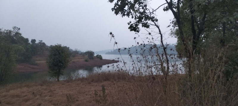  400 Acre Agricultural/Farm Land for Sale in Tamjai Nagar, Satara