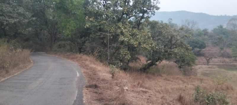  400 Acre Agricultural/Farm Land for Sale in Tamjai Nagar, Satara