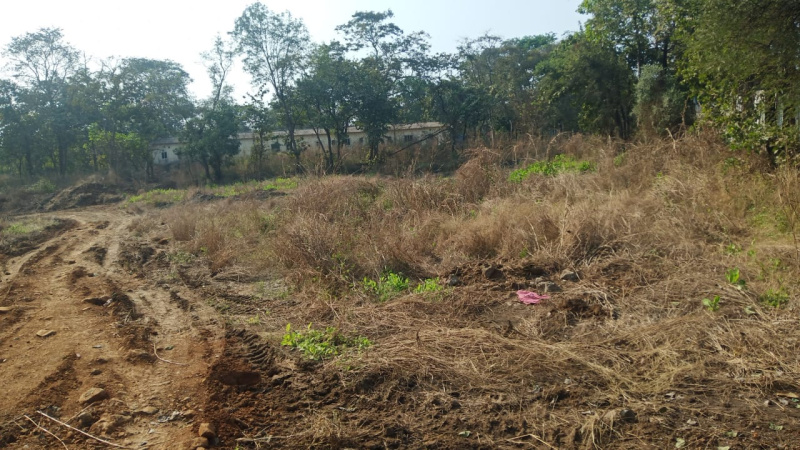  43 Acre Residential Plot for Sale in Alibag, Raigad