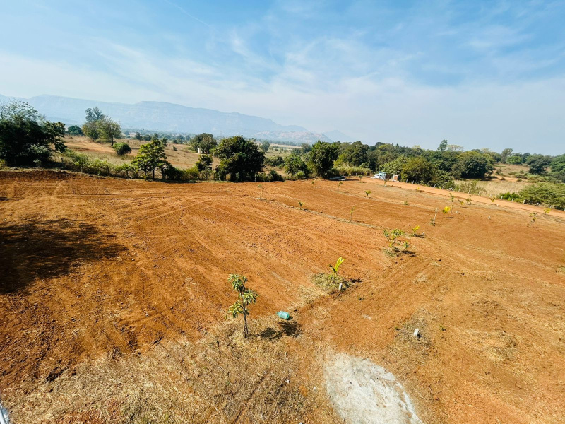  115 Acre Industrial Land for Sale in Padagha, Thane