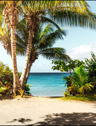  100000 Sq.ft. Hotels for Sale in Mandwa, Alibag, Raigad