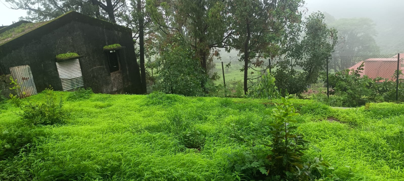  7 Acre Residential Plot for Sale in Mulshi, Pune