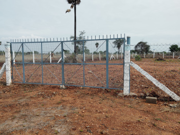  Agricultural Land for Sale in Palladam, Tirupur