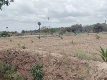  Agricultural Land for Sale in Sankaramanallur, Tirupur