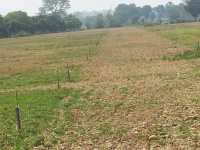  Residential Plot for Sale in Selakui, Dehradun