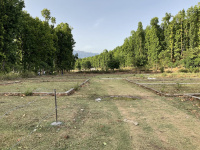  Residential Plot for Sale in Dhaulas, Dehradun