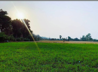  Residential Plot for Sale in Chandrabani, Dehradun