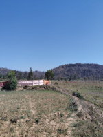 Residential Plot for Sale in Behat, Saharanpur