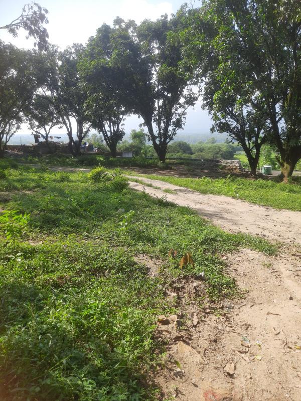  Residential Plot 900 Sq.ft. for Sale in Dakpathar, Dehradun