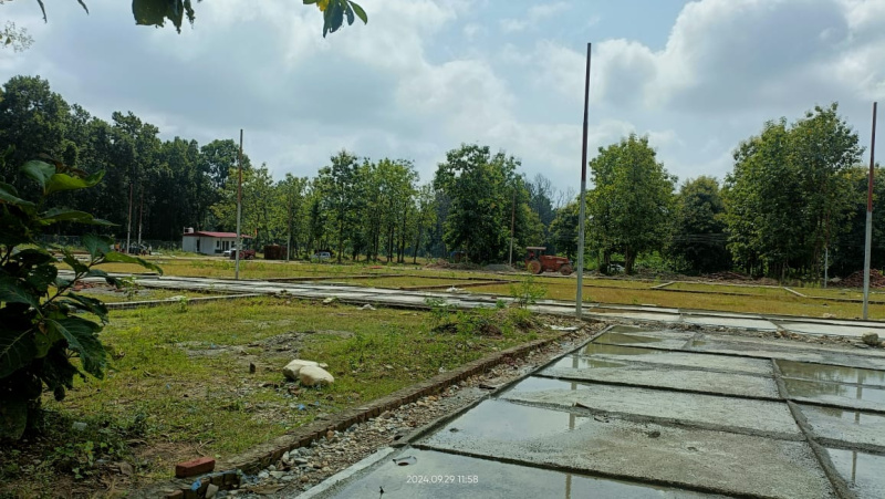  Residential Plot 180 Sq. Yards for Sale in Pondha, Dehradun