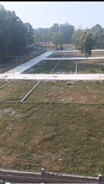  Residential Plot 194 Sq. Yards for Sale in Pondha, Dehradun