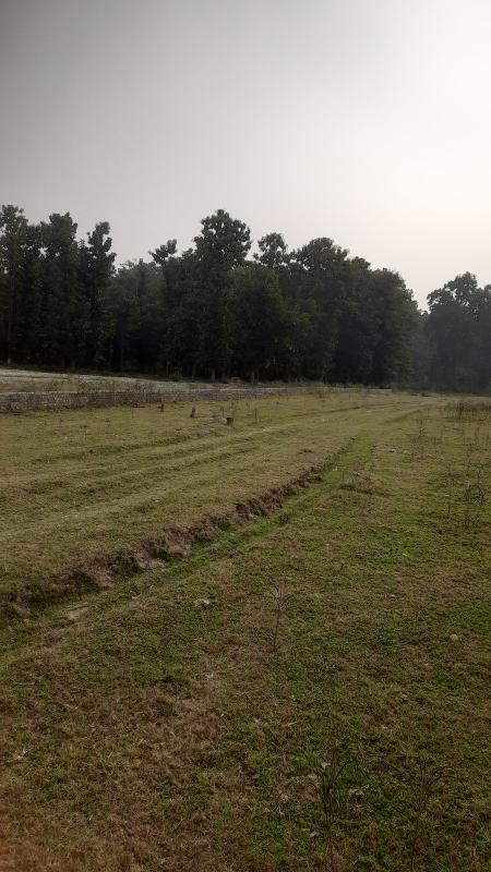  Residential Plot 200 Sq. Yards for Sale in Vikas Nagar, Shimla Bypass Road, Dehradun