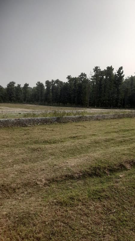  Residential Plot 200 Sq. Yards for Sale in Vikas Nagar, Shimla Bypass Road, Dehradun