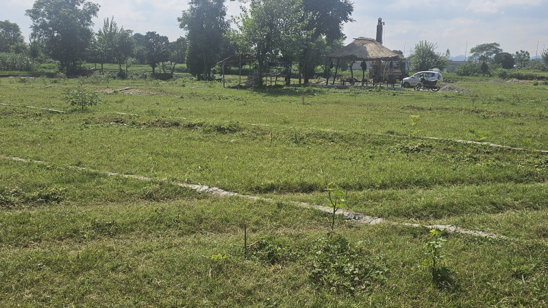  Residential Plot 500 Sq. Yards for Sale in Selakui, Dehradun
