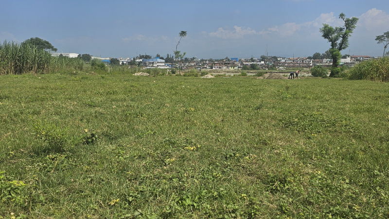  Residential Plot 500 Sq. Yards for Sale in Selakui, Dehradun