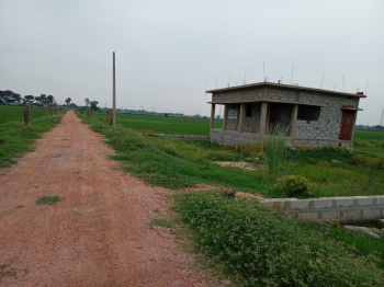  Residential Plot for Sale in Naubatpur, Patna