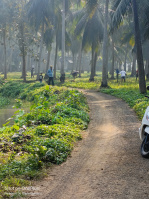  Agricultural Land for Sale in Amalapuram, East Godavari