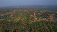 Agricultural Land for Sale in Magadi Road, Bangalore