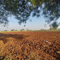  Agricultural Land for Sale in Hagarga Road, Gulbarga, Gulbarga