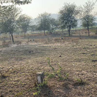  Commercial Land for Sale in Paota, Jaipur
