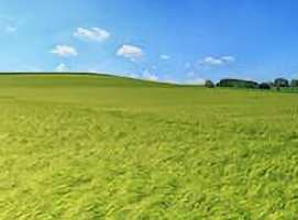  Agricultural Land for Sale in Sector 79 Noida