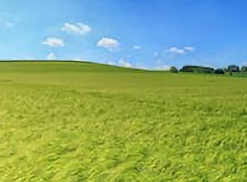 Agricultural Land 250 Bigha for Sale in Sector 79 Noida