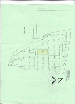  Residential Plot for Sale in Ragolu, Srikakulam