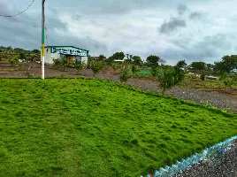  Agricultural Land for Sale in Narayankhed, Sangareddy