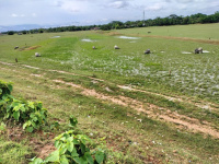  Agricultural Land for Sale in Silchar Part