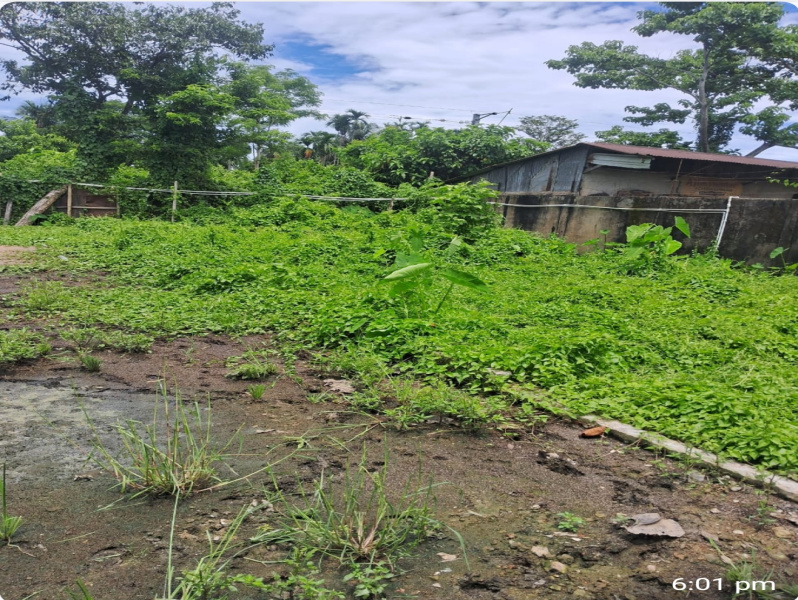  Commercial Land 6500 Sq.ft. for Rent in Ramnagar, Silchar