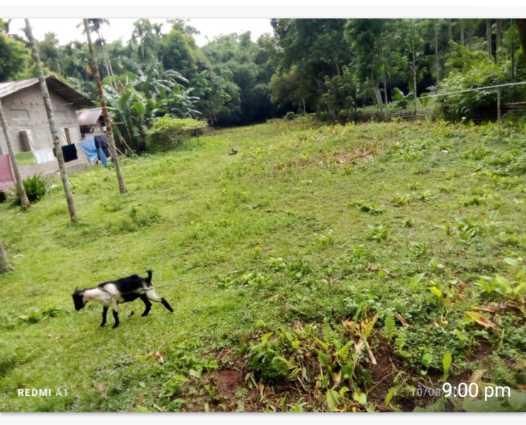  Residential Plot 5 Katha for Sale in Amolapatty, Dibrugarh