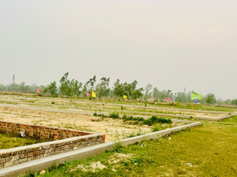  Agricultural Land 1000 Sq.ft. for Sale in Rau, Indore