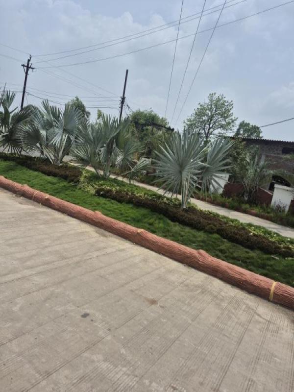  Residential Plot 525 Sq.ft. for Sale in A B Road, Indore