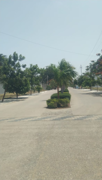  Residential Plot 1250 Sq.ft. for Sale in Khandwa Road, Indore